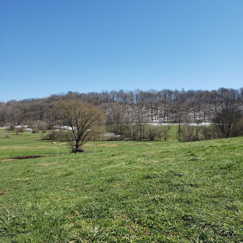 A Working Farm With Springs, Valleys And A Promise