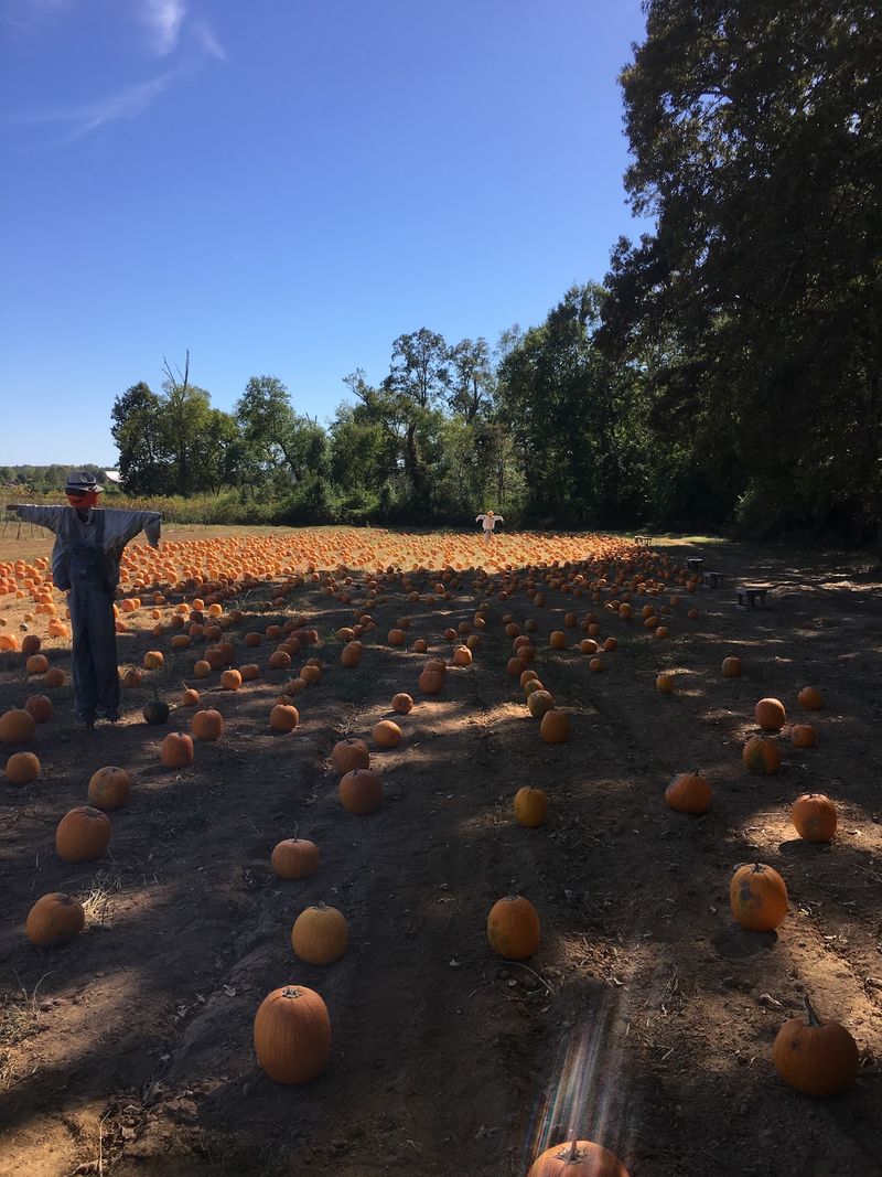 A Family Farm Story That Started With Eight Acres