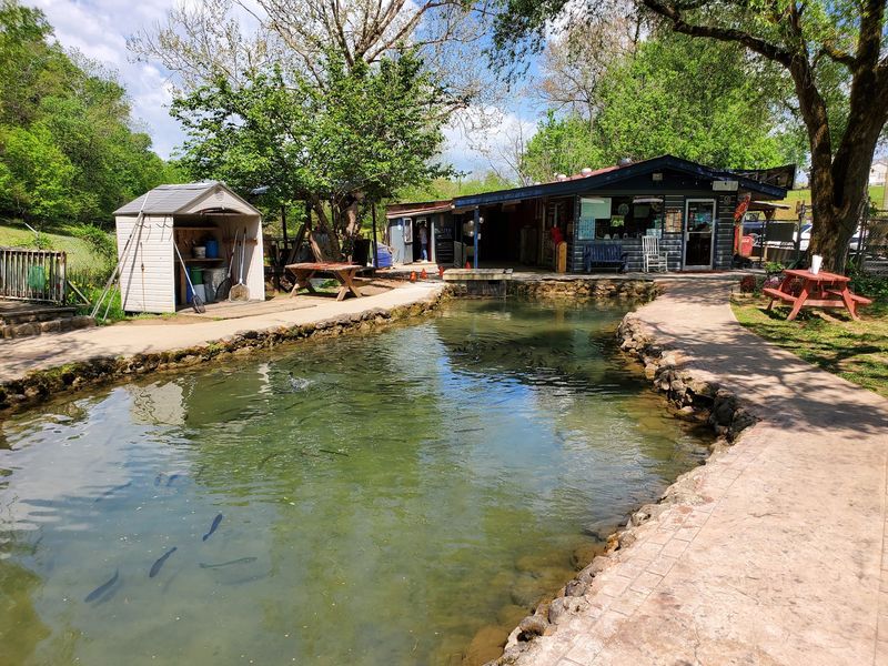 A Working Fish Farm On Blowing Cave Road