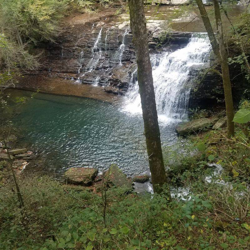 A Southern Swimming Hole With A Tropical Attitude