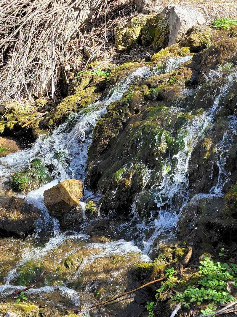 A Short Trail With A Surprisingly Big Payoff