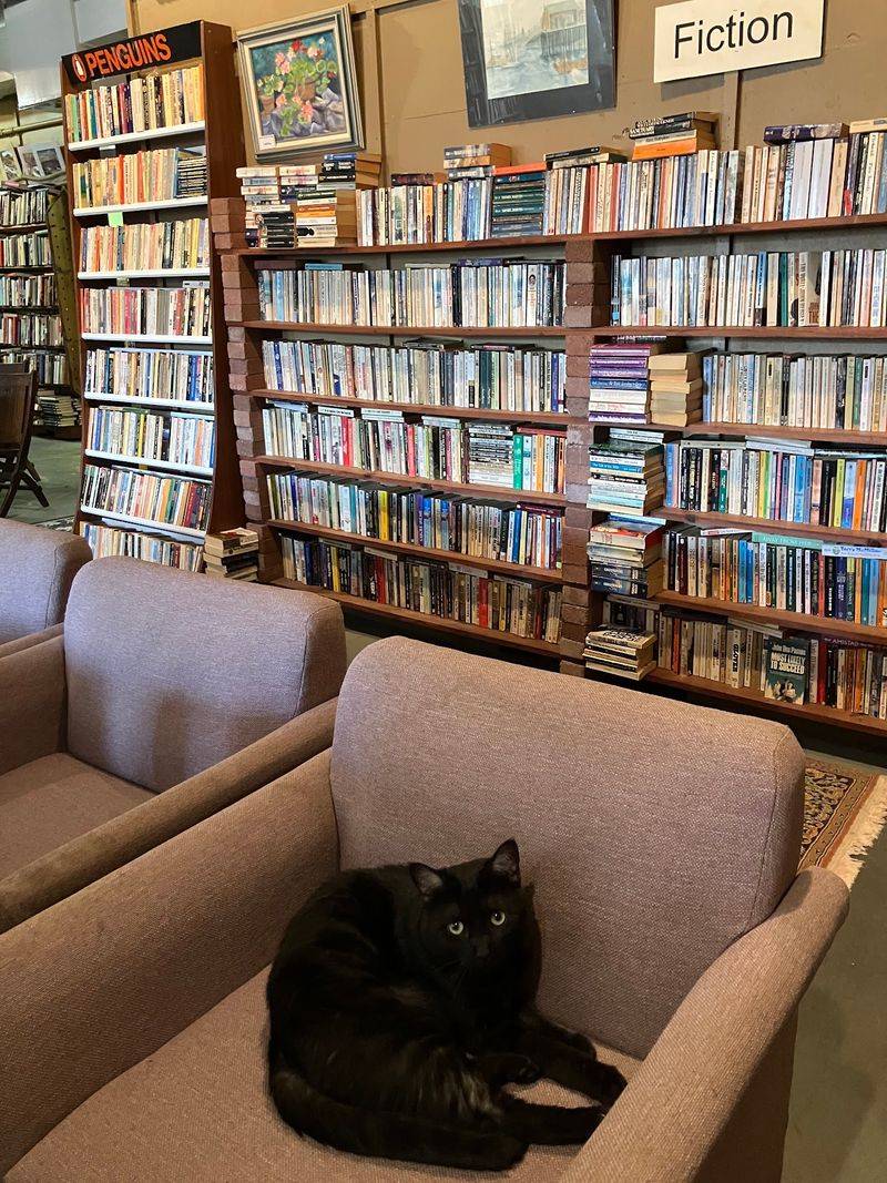 A Literary Labyrinth Hiding In Plain Sight