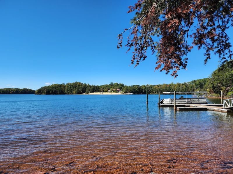 A Lake Built For Calm Days And Busy Wildlife