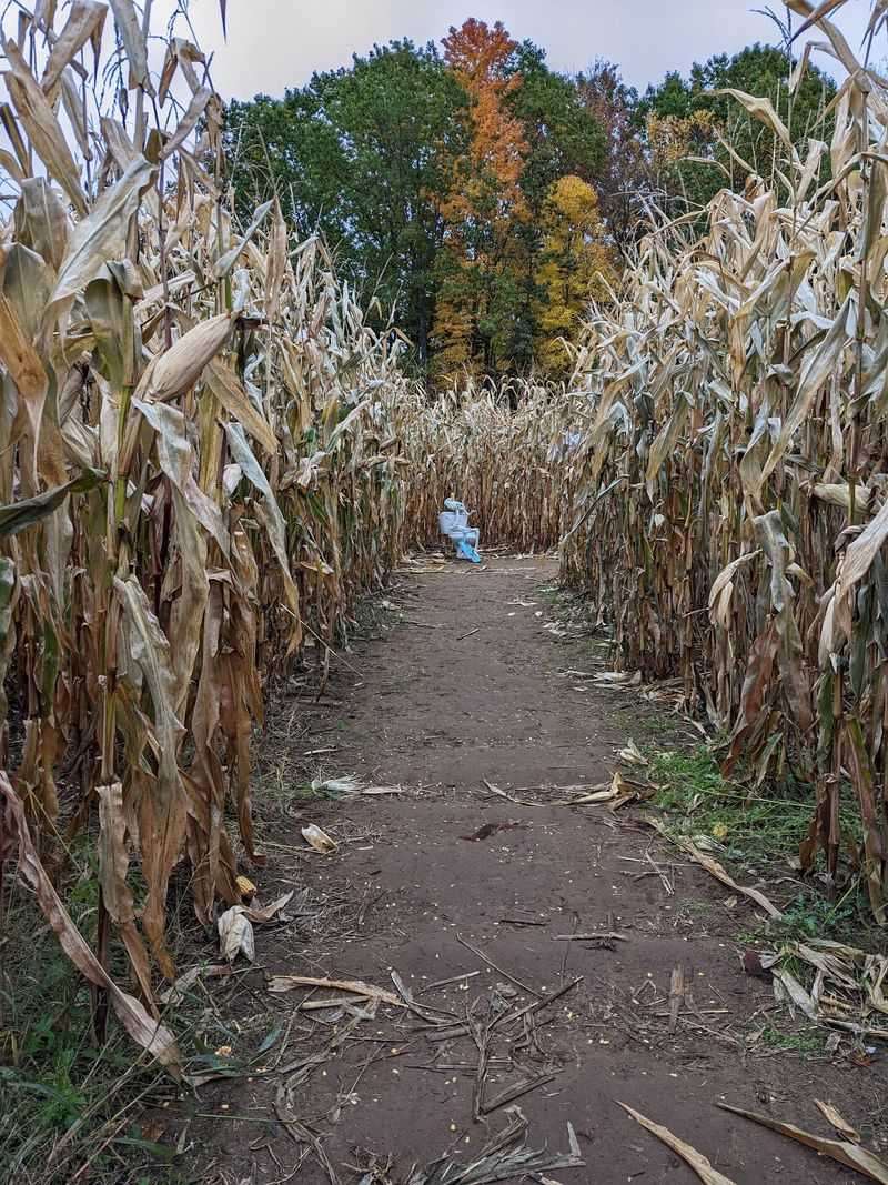 A Corn Maze That Stretches Across 15 Acres
