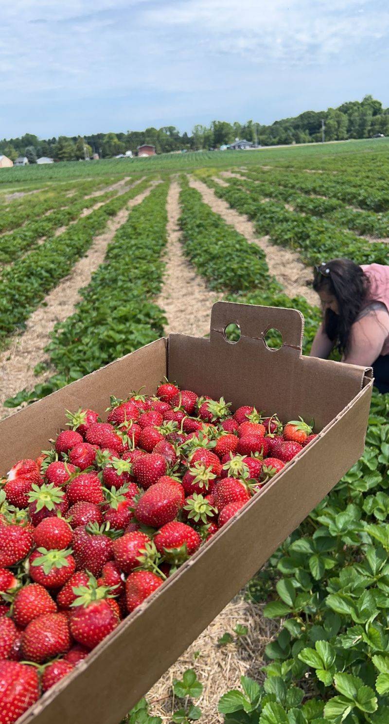 A Family Farm That Sells What It Grows