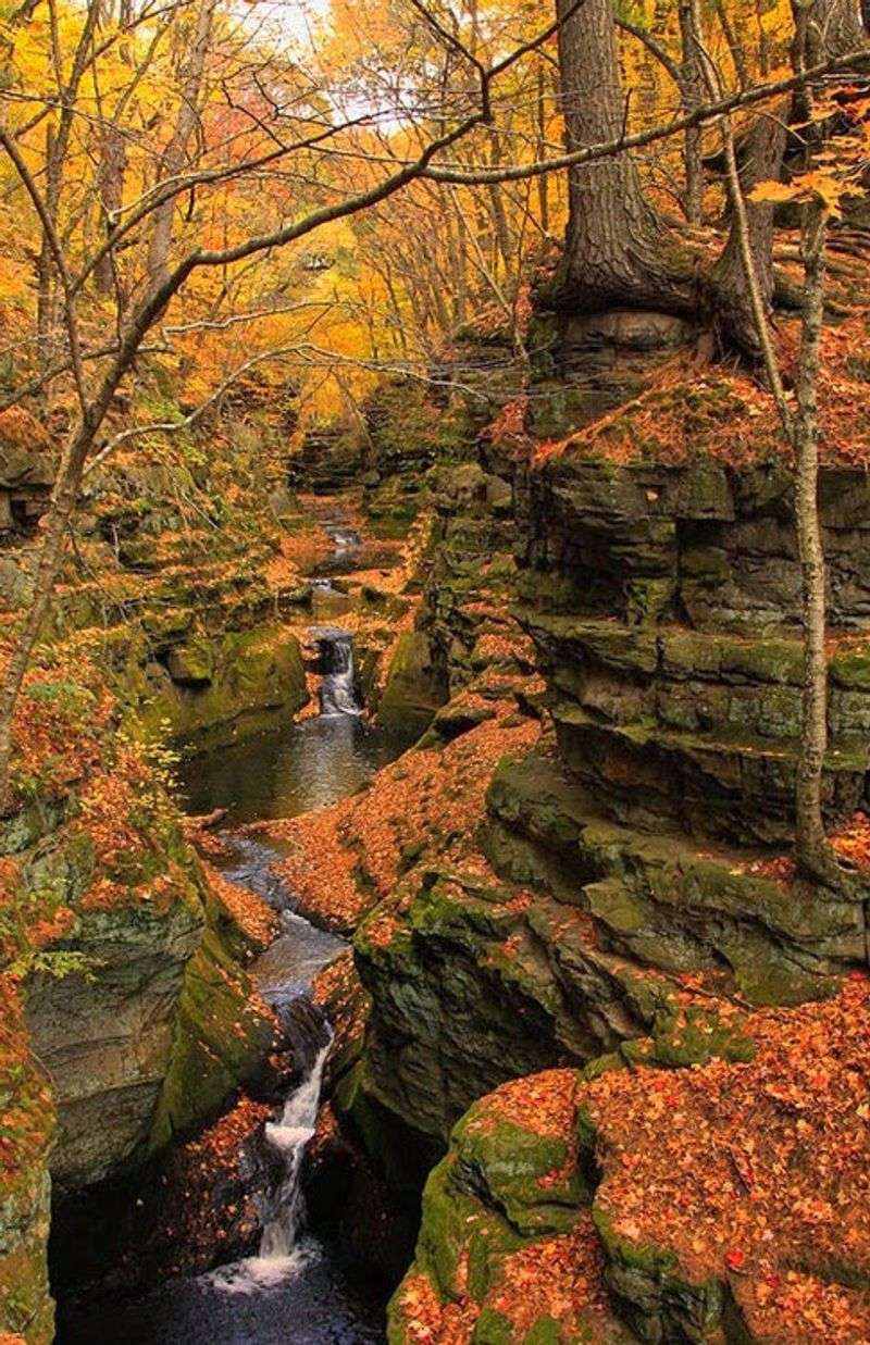 A Canyon Carved By Meltwater, Not Machines