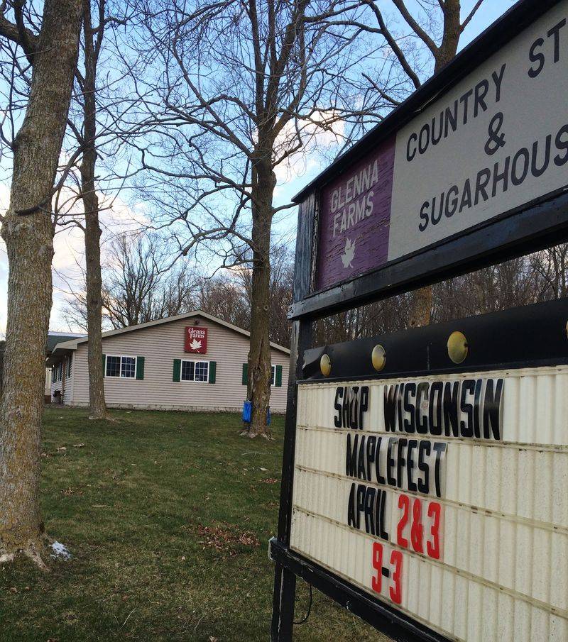 A Working Sugarbush You Can Actually Walk Through
