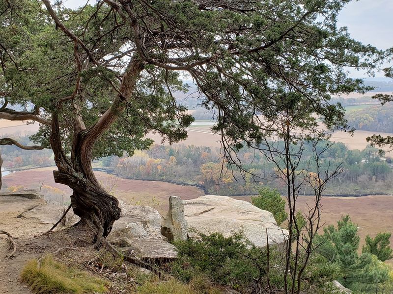 A Bluff That Makes Your Jaw Drop