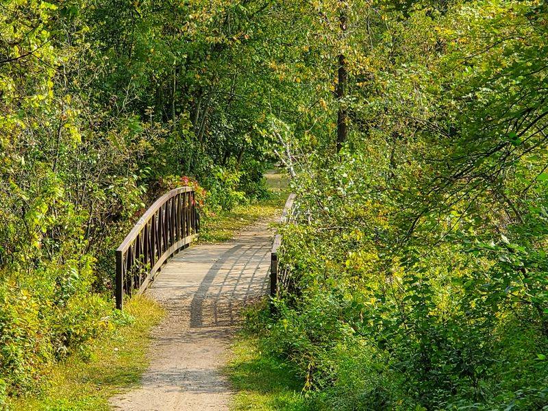 A Quiet Creek Crossing That Steals The Show
