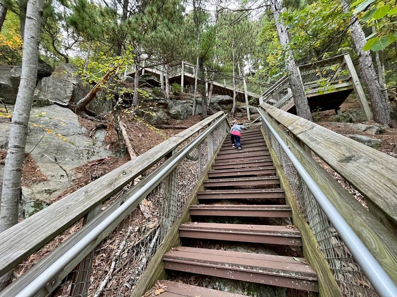 The 303 Steps That Everyone Talks About