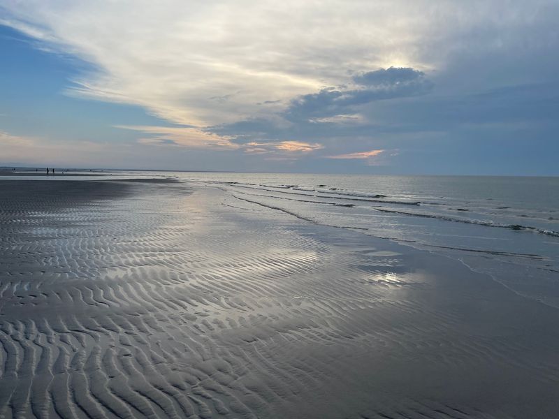 Room To Roam When The Water Retreats
