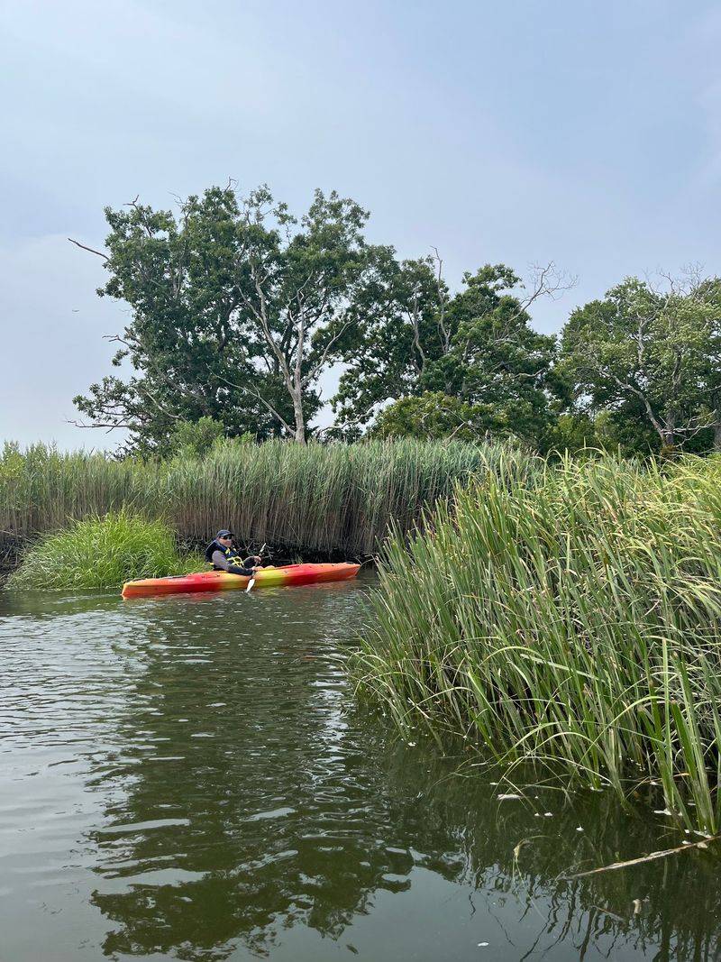 Wildlife Watching From Water Level