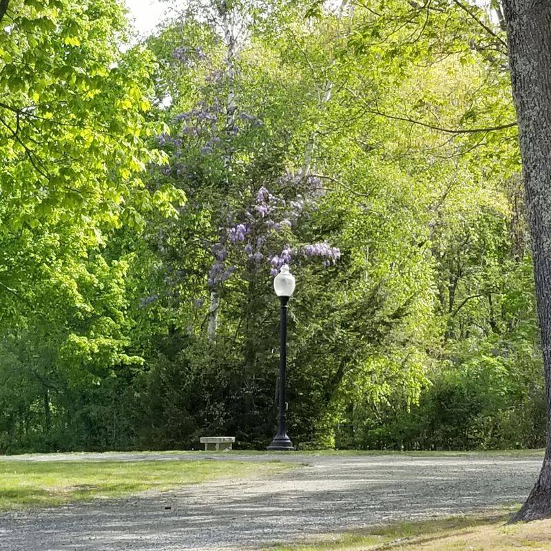 DeMarco Park, Avon