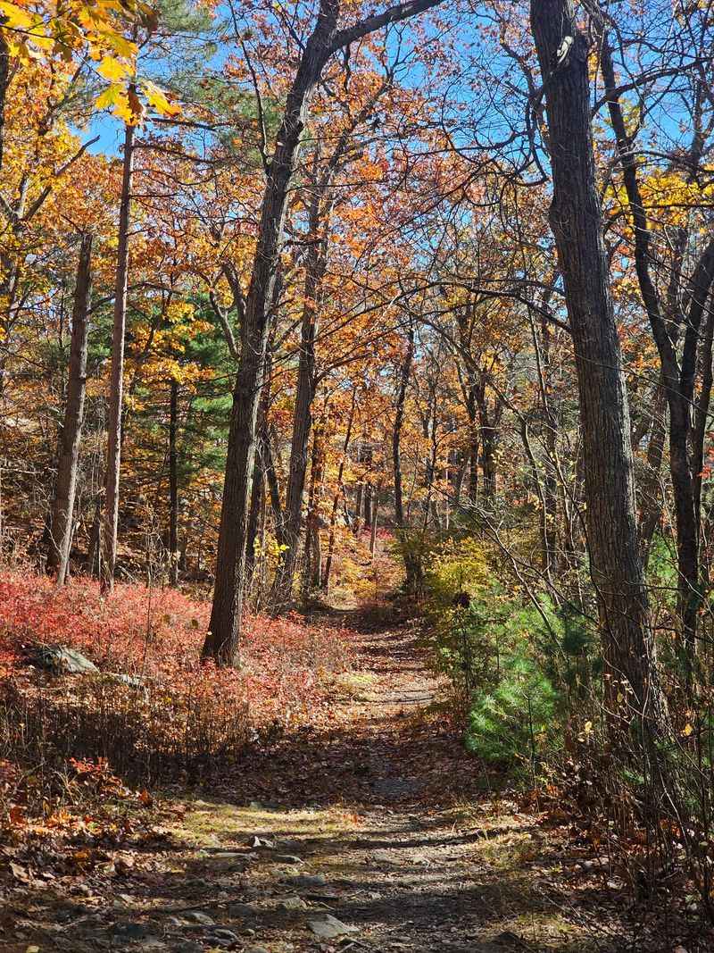Blue Hills Reservation