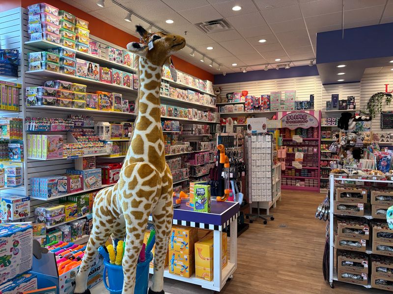 Learning Express Toys & Gifts of Naperville, Naperville, IL