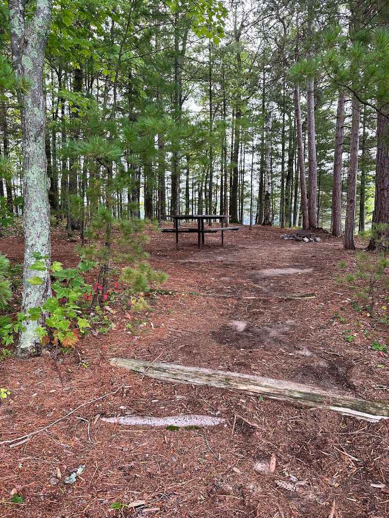 Stretch Your Legs On Nearby Forest Trails
