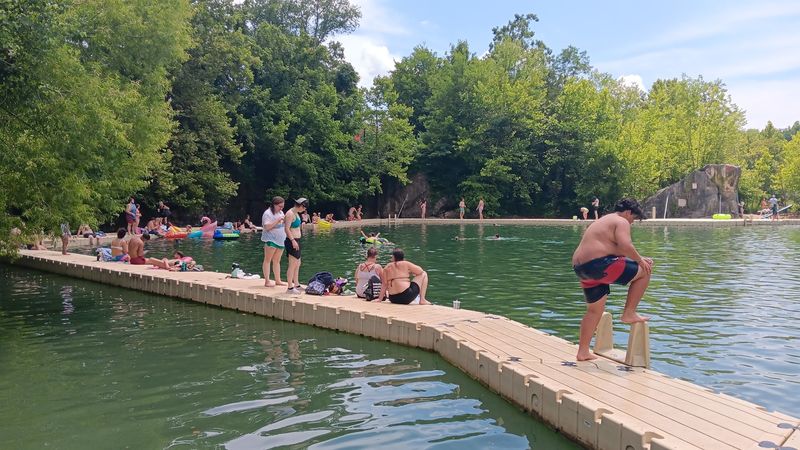 No Sting, No Worry For Swimmers