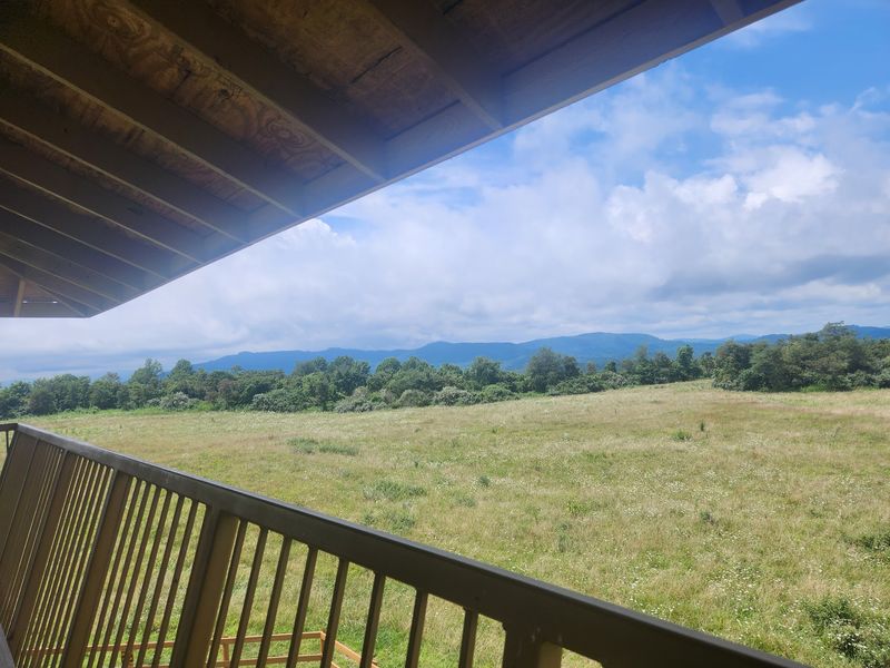 Turkey, Bears And Warblers Share The Ridge