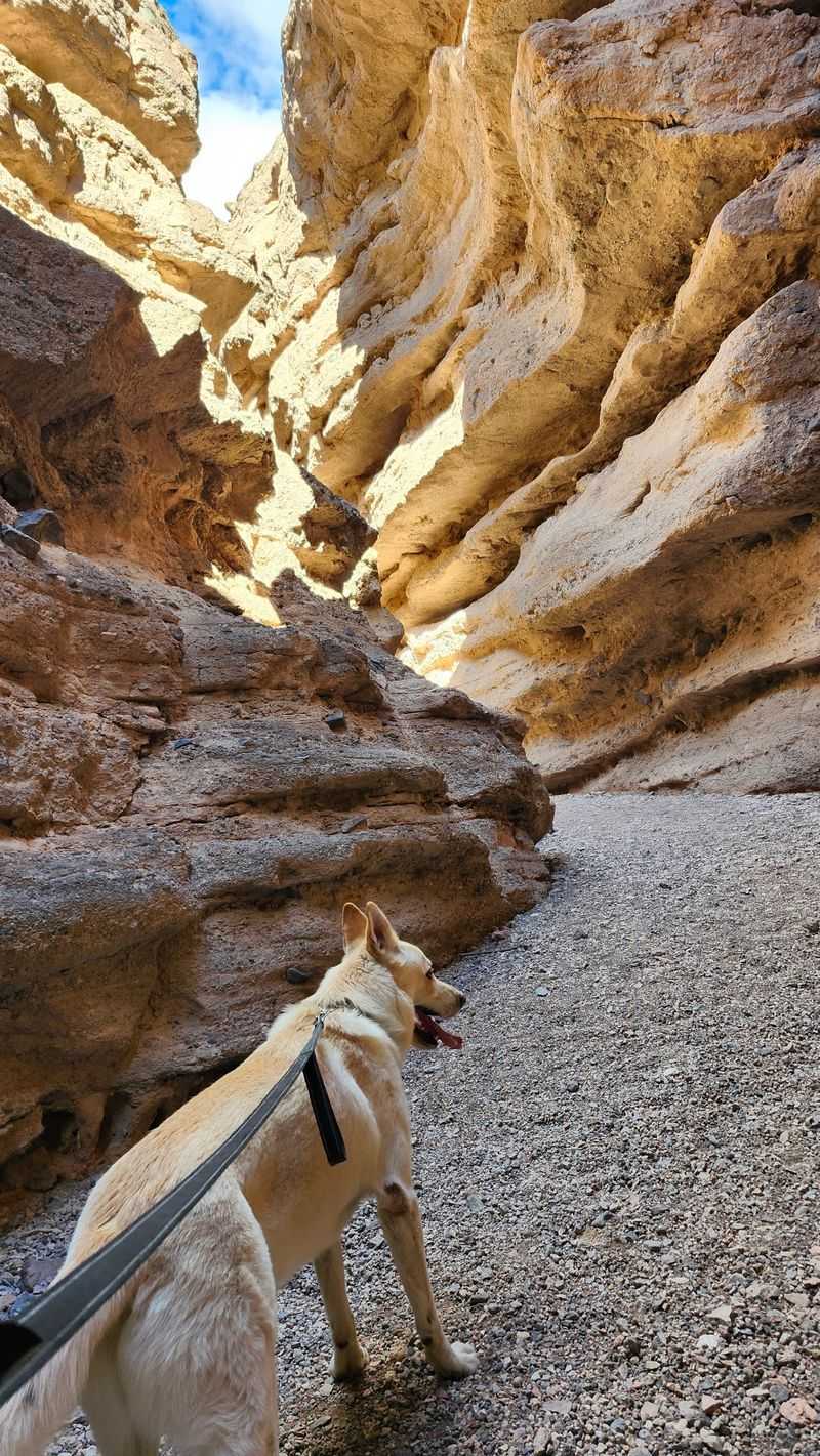 Small Habits That Keep This Canyon Worth Protecting