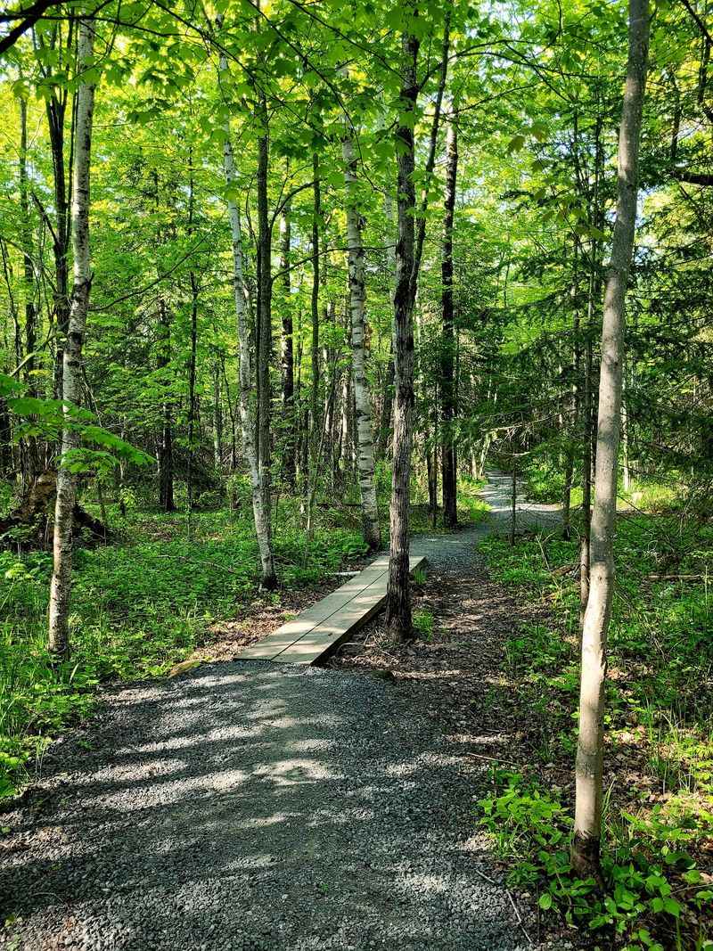 Boardwalks And A Path Built For Comfortable Walking