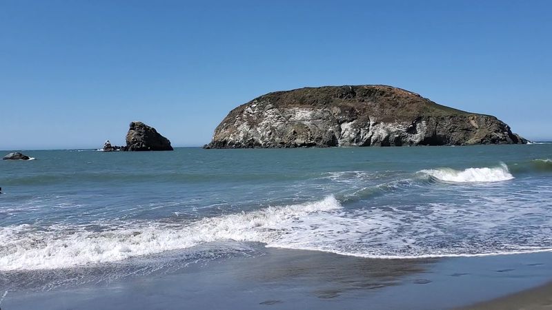 Puffins, Seals, And Passing Whales