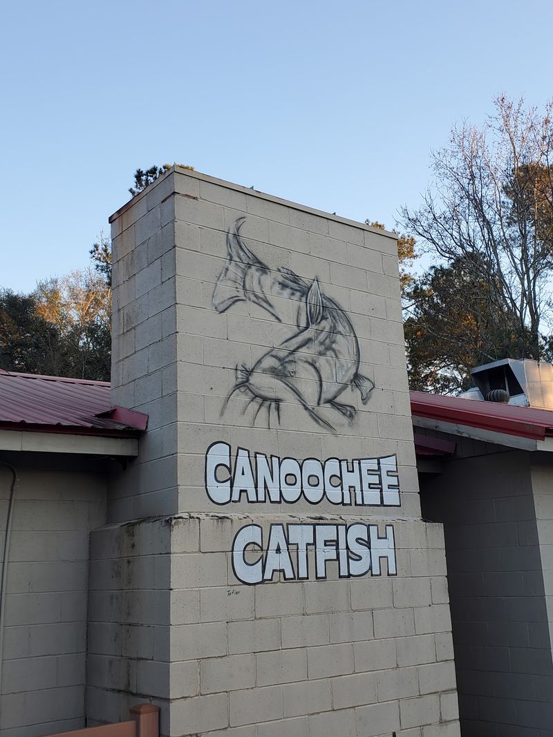 The Role Of Catfish In Georgia Food Culture