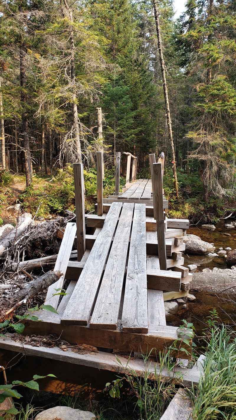 Follow The Interpretive Trail