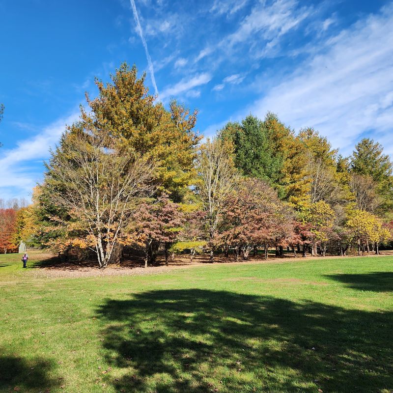 Patriot Path, Sycamore Shoals State Historic Park, Elizabethton