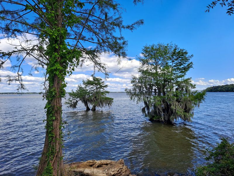 The Lake That Was Built, Not Born