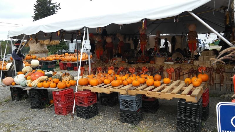 Marini Farm Stand