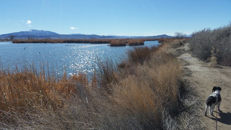Birds, Wildlife, And A Walk Worth Taking