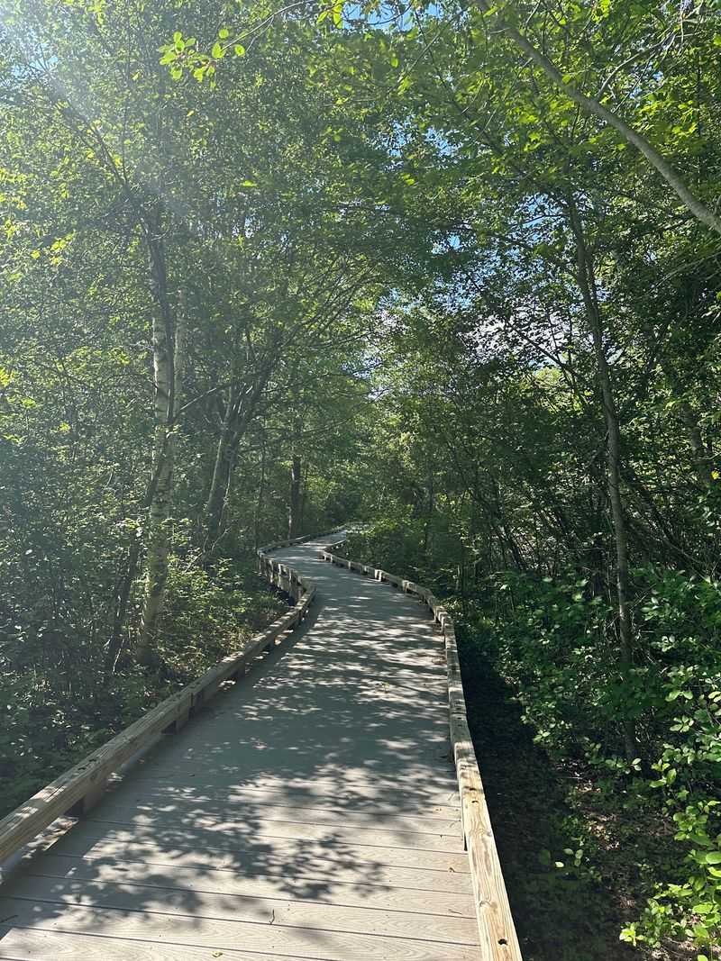Hellcat Boardwalk Trail