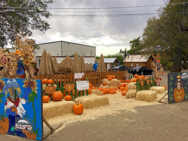 Pumpkin Patch Season Arrives Soon