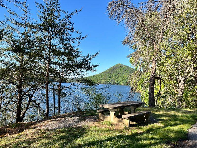 Picnic Tables, Paddles, and Unhurried Afternoons