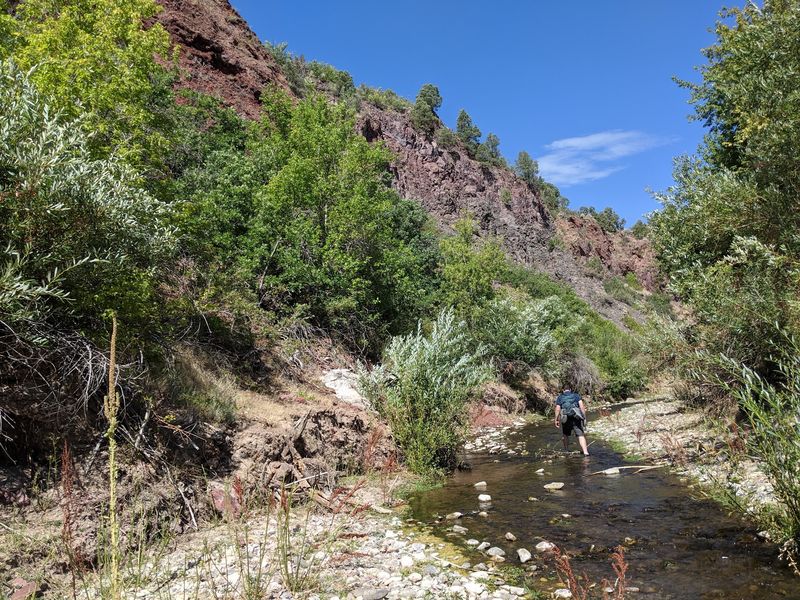 Trout Tales Along The Wash