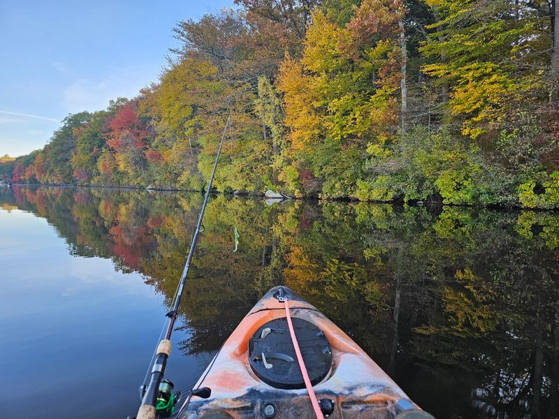 Paddling On Still Water