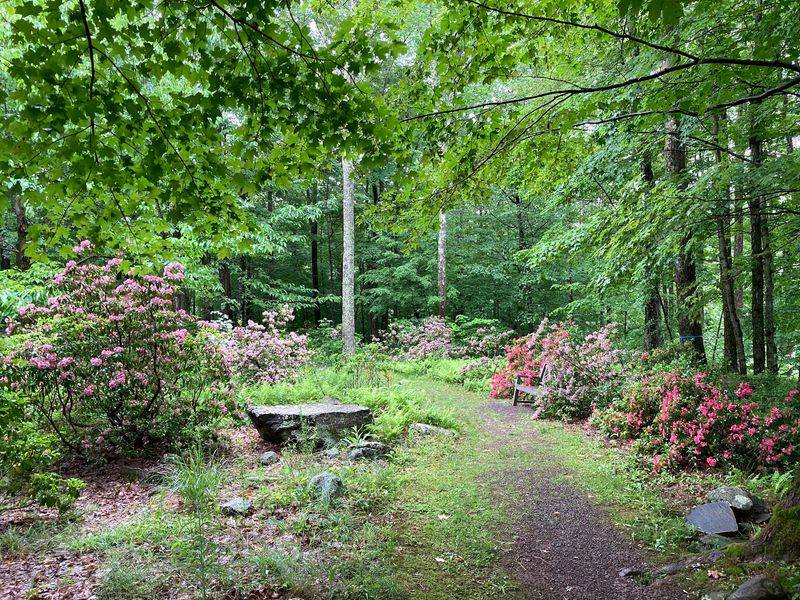 Planning A Catskills Day Around It