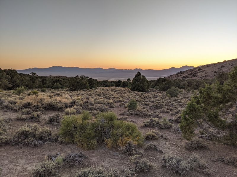 Fourteen Campsites Tucked Into The Pinyons