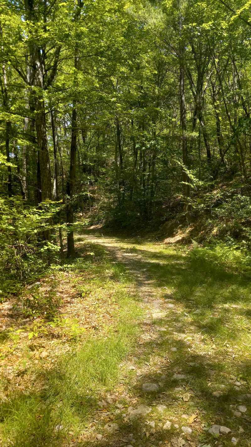 Share The Woods With Its Longtime Residents