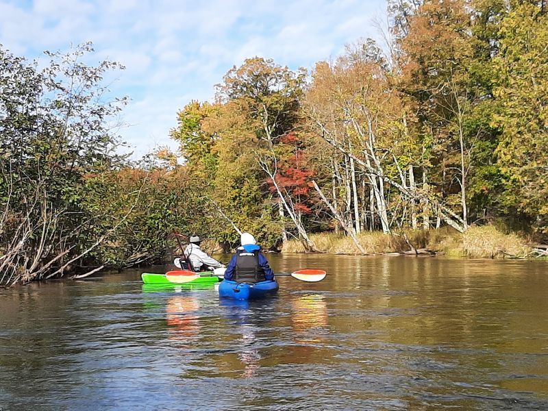 Rivers, Paddles, And Slow Water