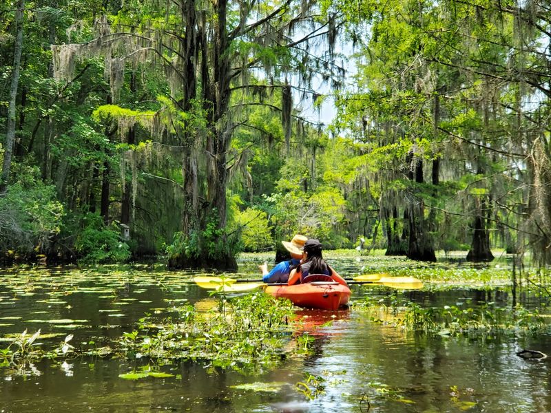 Fishing, Boating, and Life On The Water