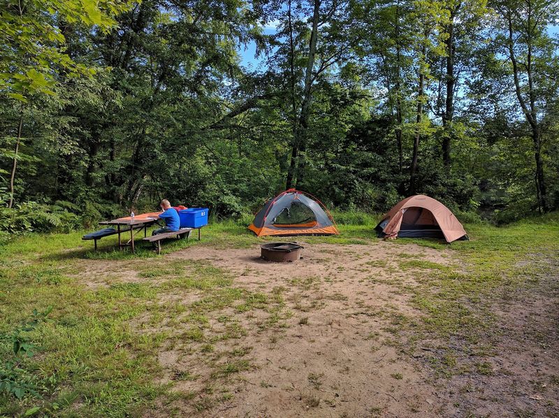 Camping Close Enough To Hear Elk From Your Tent