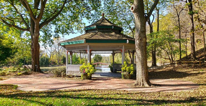 Leaves, Blooms, And A Season Full Of Color