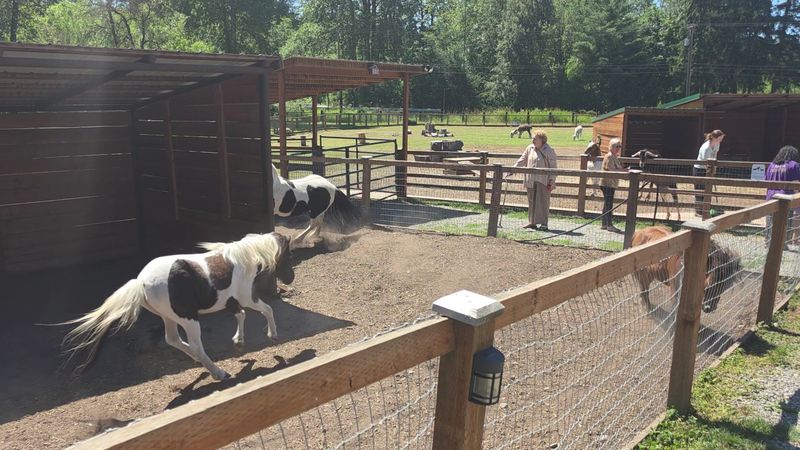 Playgrounds Built For Muddy Boots