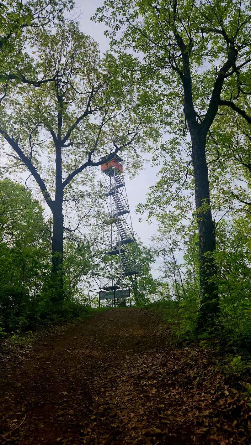 Copperhead Fire Tower