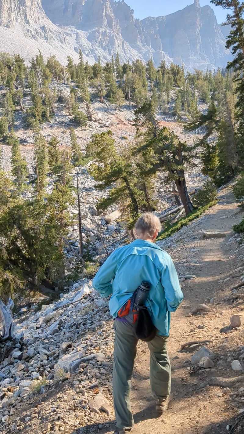 Walking The Bristlecone Pine Trail