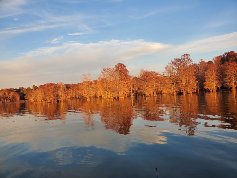 Paddling The Quiet Backwaters