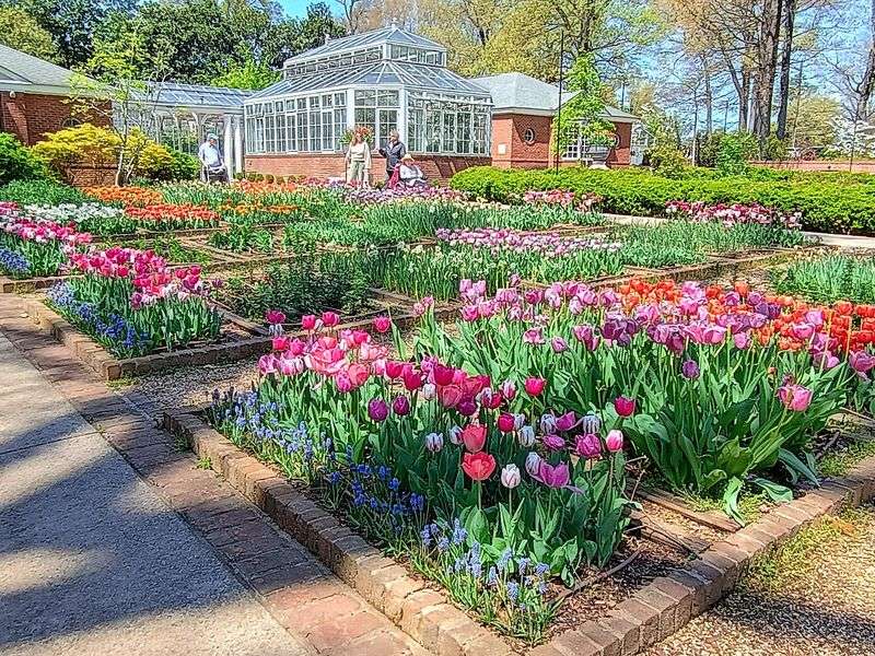 A Cutting Garden, Formal Beds, And A Woodland Trail