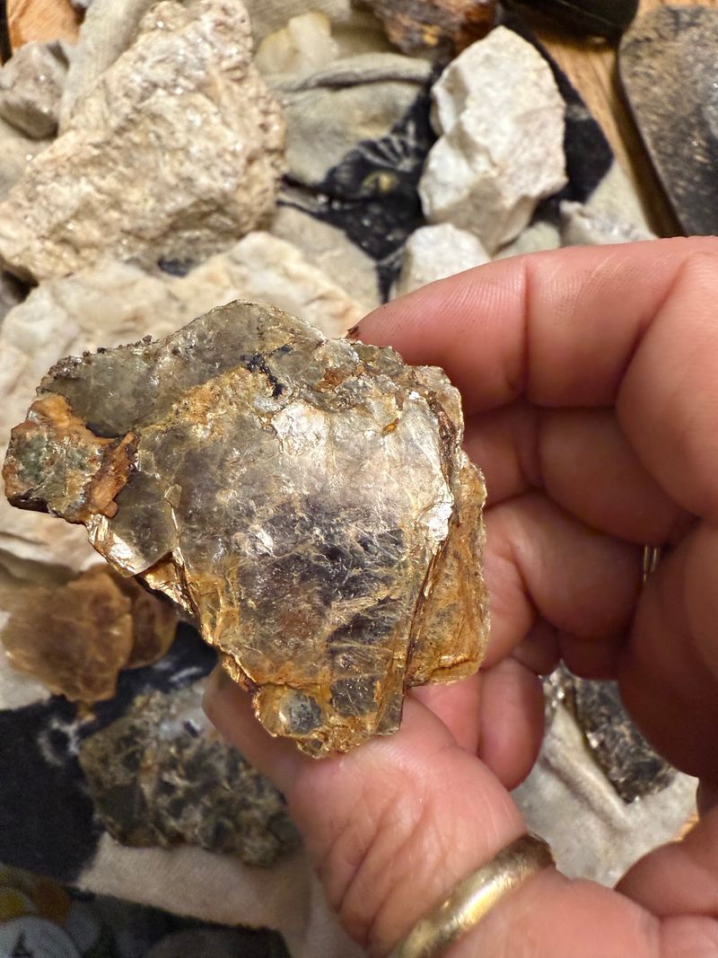 Fill A Five-Gallon Bucket With Your Own Finds