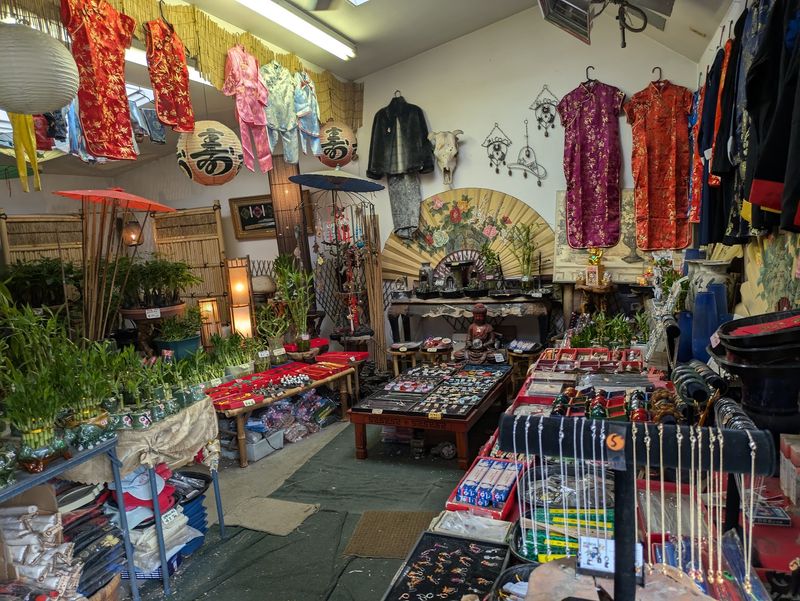 A Festival Of Cultures